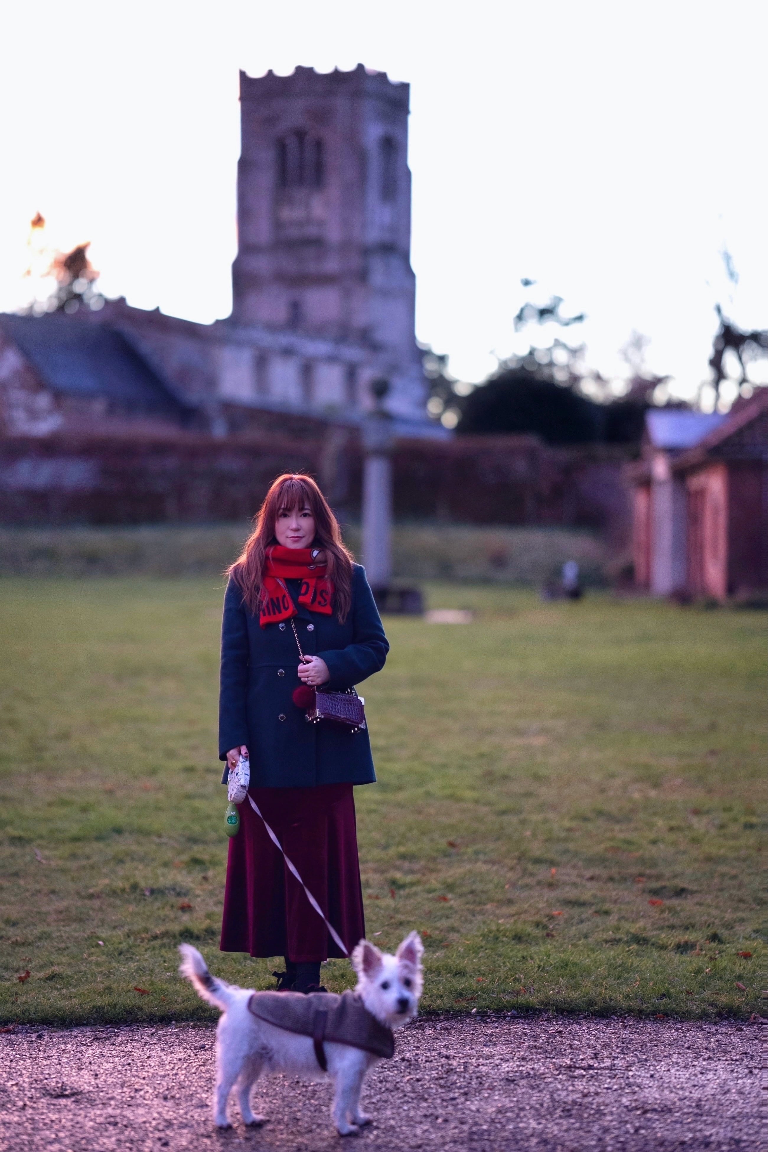 Professional Korean-English Translator